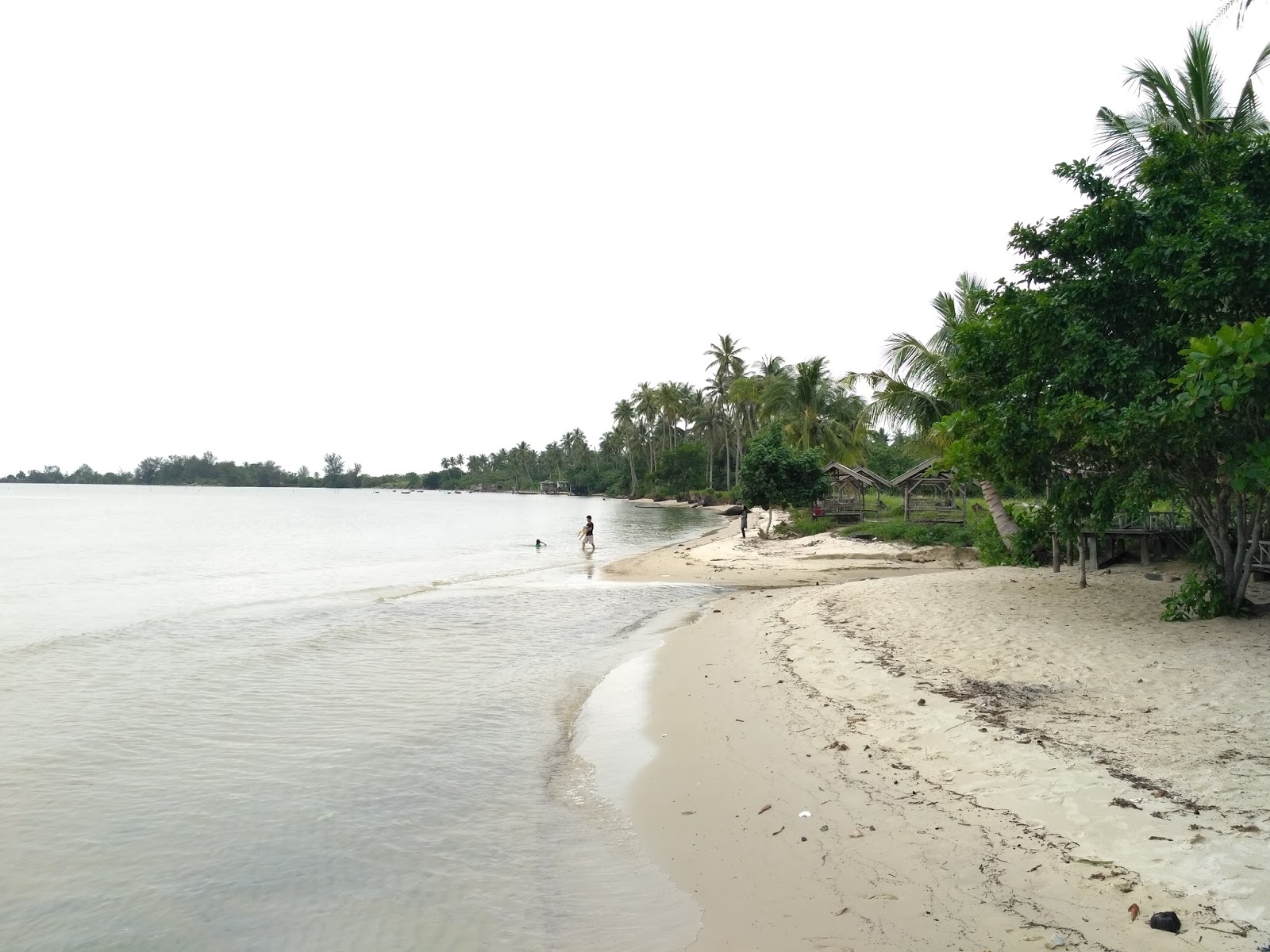 Foto Pulau Basing